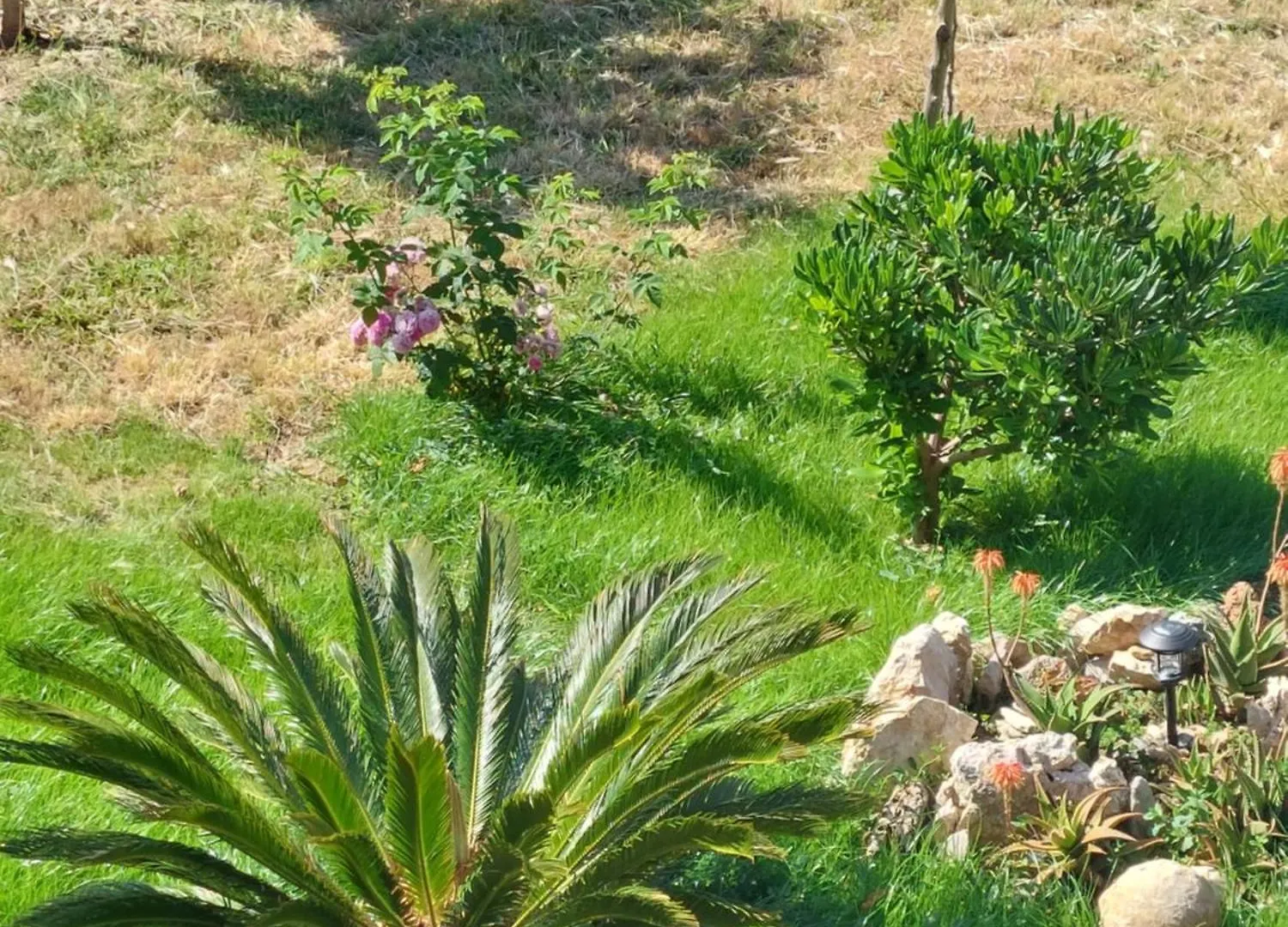 شقة Paula Apartmani Mundanije